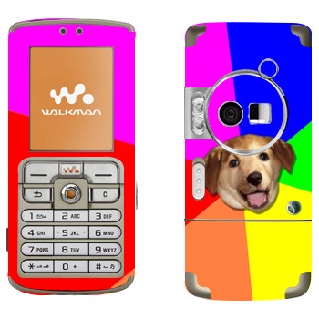   «Advice Dog»   Sony Ericsson W700