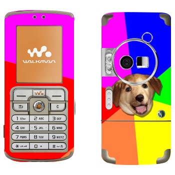 Sony Ericsson W700