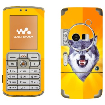 Sony Ericsson W700