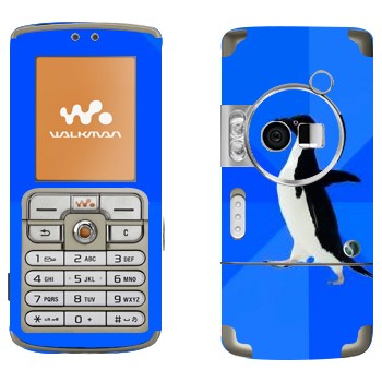 Sony Ericsson W700