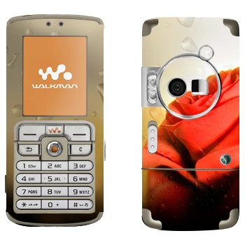   « »   Sony Ericsson W700