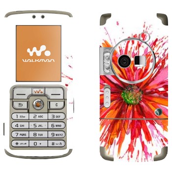   «  »   Sony Ericsson W700