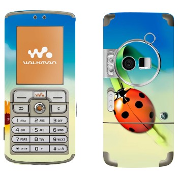   «   »   Sony Ericsson W700