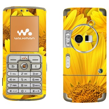   « »   Sony Ericsson W700