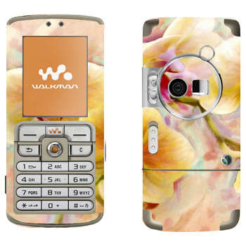   «»   Sony Ericsson W700