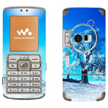   « »   Sony Ericsson W700