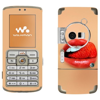   «-»   Sony Ericsson W700