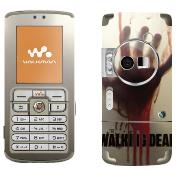 Sony Ericsson W700