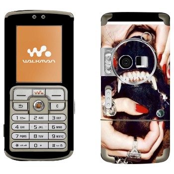 Sony Ericsson W700