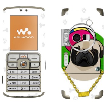 Sony Ericsson W700