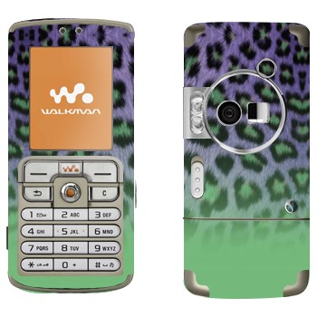   «  -»   Sony Ericsson W700