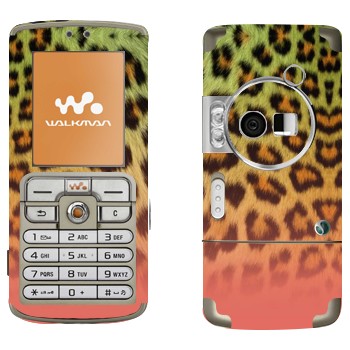 Sony Ericsson W700