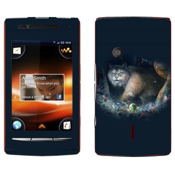   « - Kisung»   Sony Ericsson W8 Walkman
