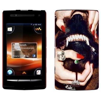   «Givenchy  »   Sony Ericsson W8 Walkman