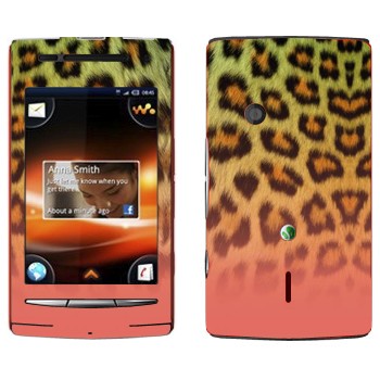   «  -»   Sony Ericsson W8 Walkman