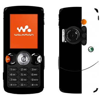 Sony Ericsson W810i