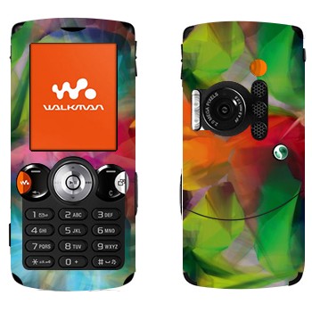 Sony Ericsson W810i