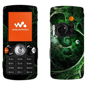   «  »   Sony Ericsson W810i