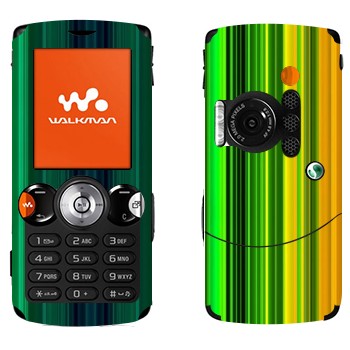 Sony Ericsson W810i