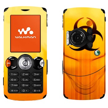   «  »   Sony Ericsson W810i