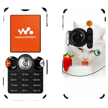   «   »   Sony Ericsson W810i