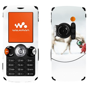   «   »   Sony Ericsson W810i