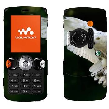   «   »   Sony Ericsson W810i