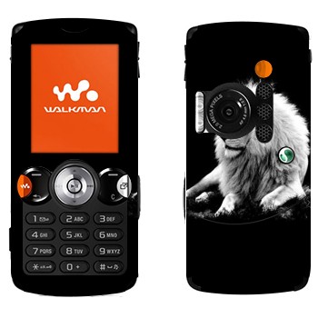 Sony Ericsson W810i