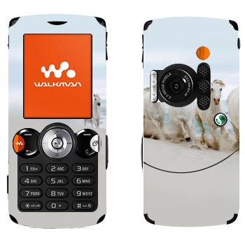   «   »   Sony Ericsson W810i