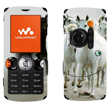   « »   Sony Ericsson W810i