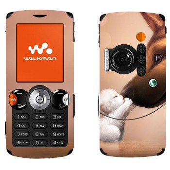   «   »   Sony Ericsson W810i