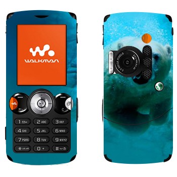   «   »   Sony Ericsson W810i