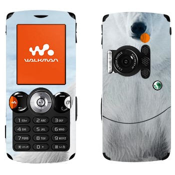   « »   Sony Ericsson W810i