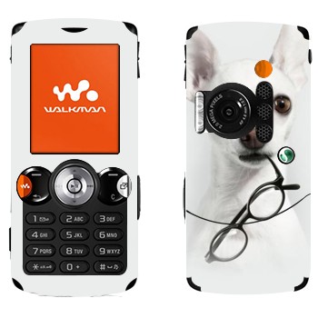   «   »   Sony Ericsson W810i