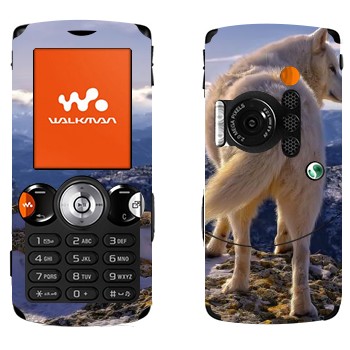   « »   Sony Ericsson W810i