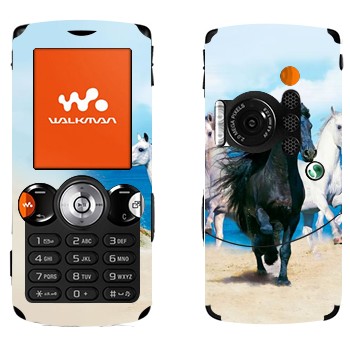   «   »   Sony Ericsson W810i