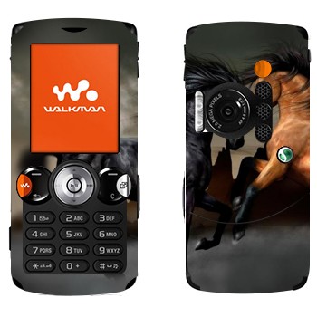 Sony Ericsson W810i