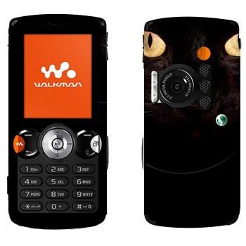   « »   Sony Ericsson W810i