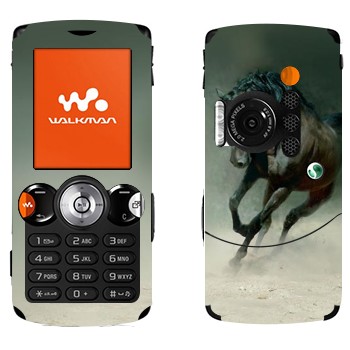   « »   Sony Ericsson W810i