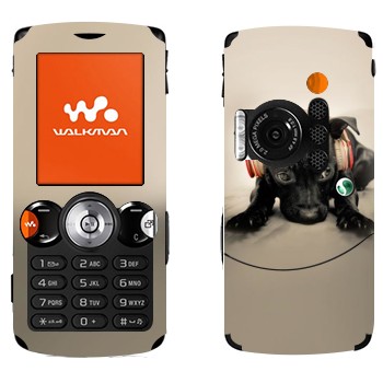   «   »   Sony Ericsson W810i