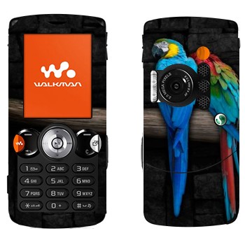   «  »   Sony Ericsson W810i