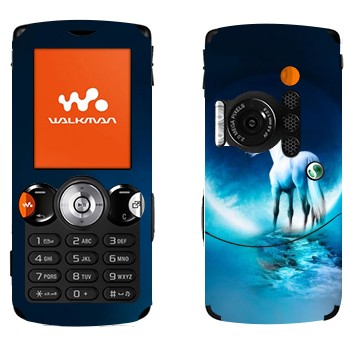   «»   Sony Ericsson W810i