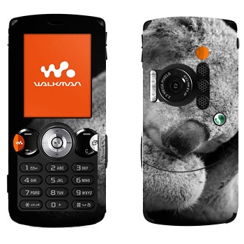   « »   Sony Ericsson W810i