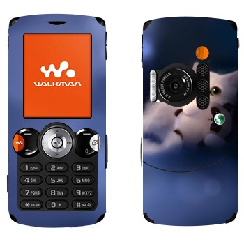   «   »   Sony Ericsson W810i