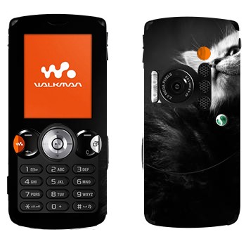   « -»   Sony Ericsson W810i