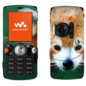   « »   Sony Ericsson W810i