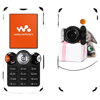   «  »   Sony Ericsson W810i