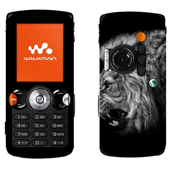 Sony Ericsson W810i