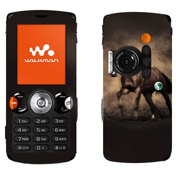   «  »   Sony Ericsson W810i