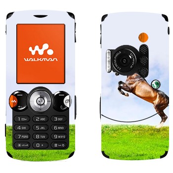   «    »   Sony Ericsson W810i